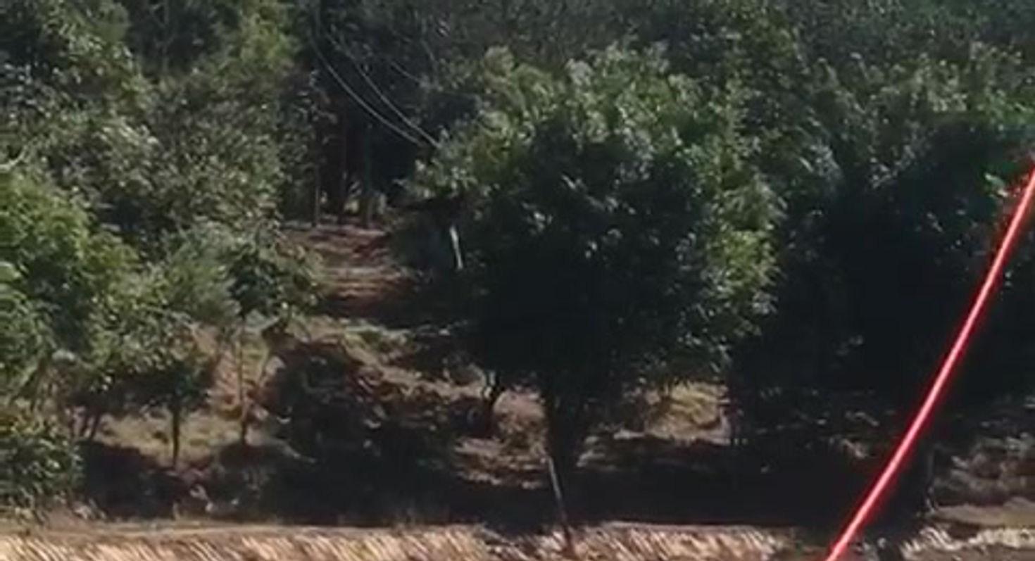 Video tirolesa Water Way 2